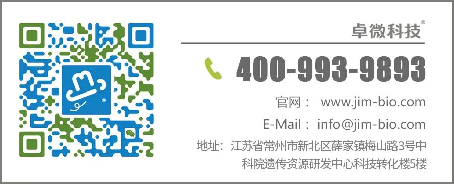 图片13.png